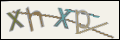 Проверочный код
