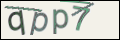 Проверочный код