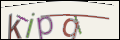 Проверочный код
