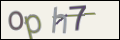 Проверочный код