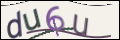 Проверочный код