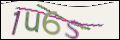 Проверочный код