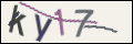 Проверочный код