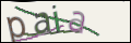 Проверочный код