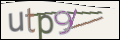 Проверочный код