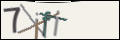 Проверочный код