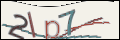 Проверочный код
