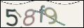 Проверочный код