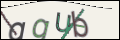 Проверочный код