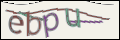 Проверочный код