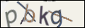 Проверочный код
