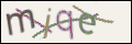 Проверочный код