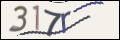 Проверочный код