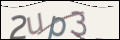 Проверочный код
