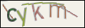 Проверочный код