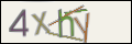 Проверочный код